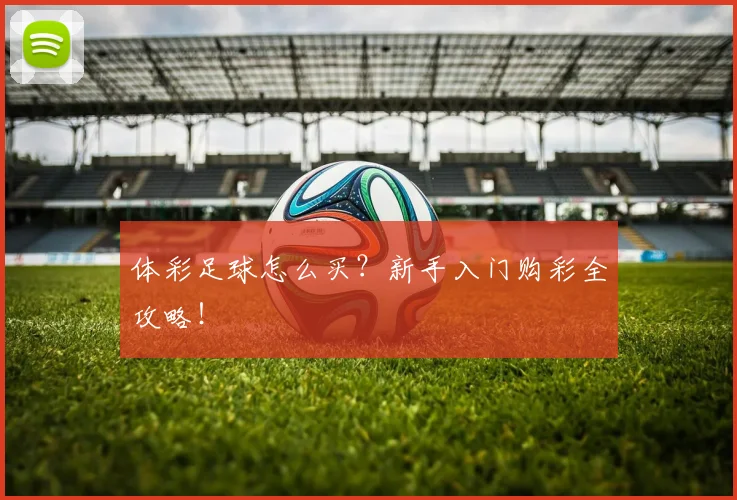 体彩足球怎么买？新手入门购彩全攻略！